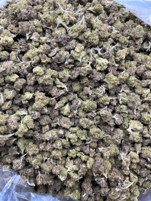 •$299 #ck823 blueberry cookies