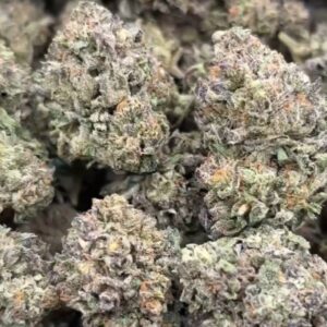 •$625 #ck727 cream gelato