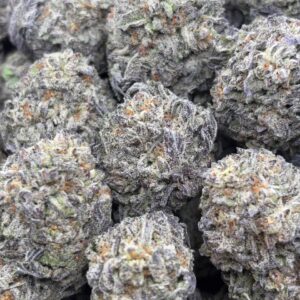 •$649 #ck290 black truffle
