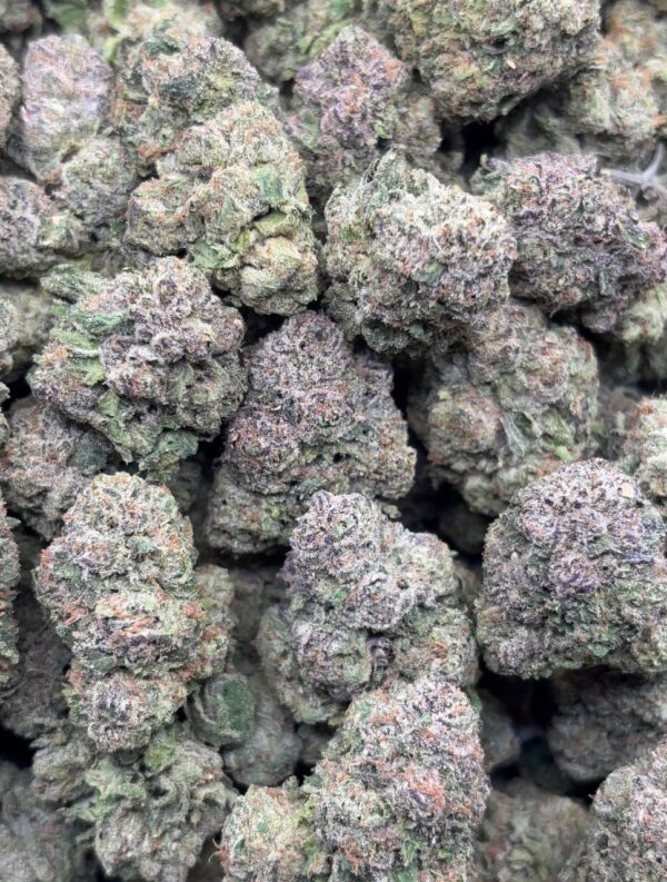 •$899 #CK901 - White berry Gelato