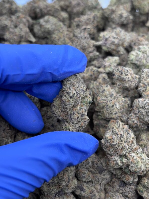 •$110 (1oz) #CK905 - Cherry Pop (add on price)