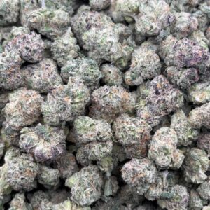 •$749 #CK913 - Biscotti x Gelato
