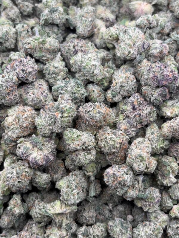 •$749 #CK913 - Biscotti x Gelato
