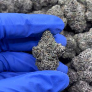 •$1399 #CK931 - Pop Rox x Gelato