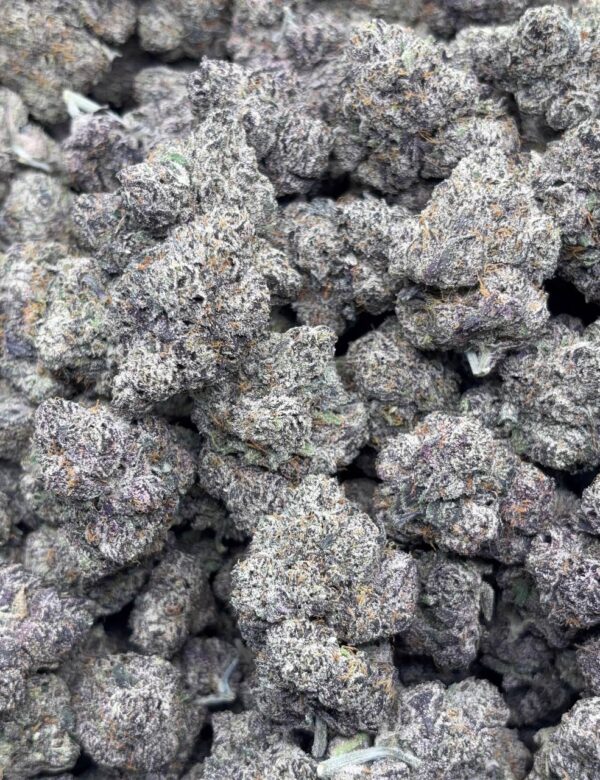 •$1399 #CK931 - Pop Rox x Gelato - Image 2