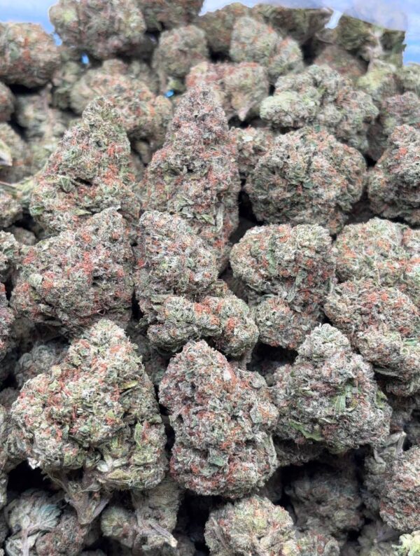 •$575/625 #CK937 - Wedding Cake