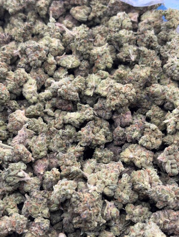 •$499 #CK941 - Truffle “small”
