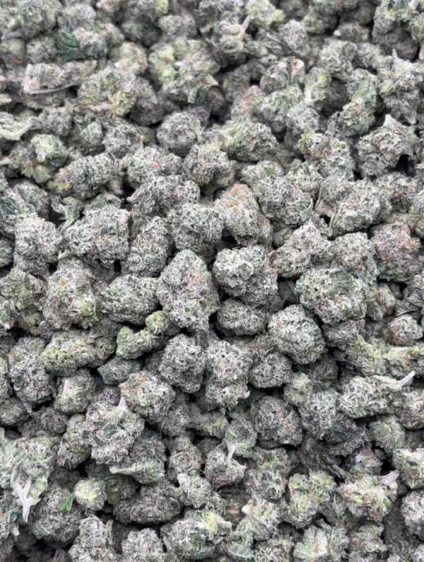 •$749 #CK951 - white cherry gelato