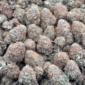 •$699 #CK963 - indoor bubba