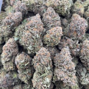 •$899-->$849/899 #CK981 - indoor PK (Friday special )
