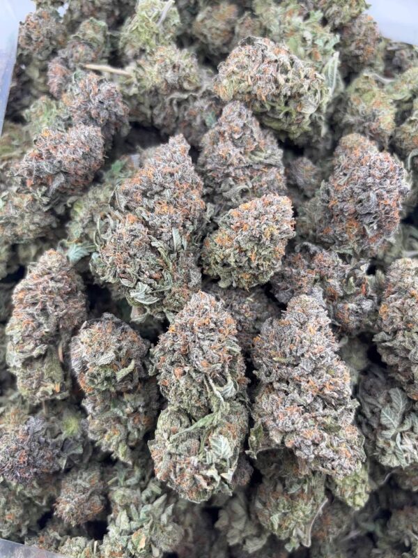 •$899-->$849/899 #CK981 - indoor PK (Friday special )