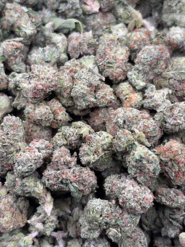 •$475/525 #CK983 - Lemon cherry Gelato