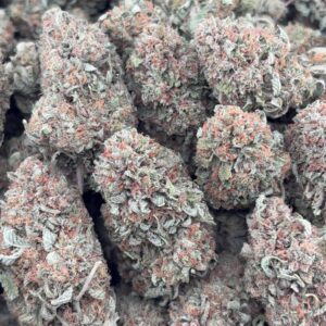 •$725 #CK109 - Bubba