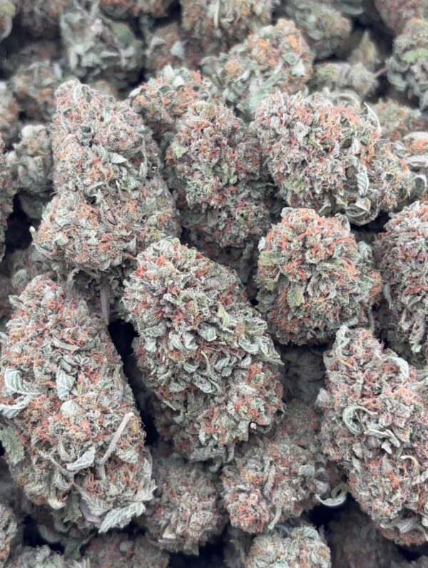 •$725 #CK109 - Bubba