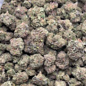 •$299 #CK0000 - Seedsssssss x100+ (no additional promo)