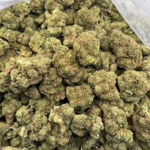 •$525/575 #CK197 - Gumbo mafia