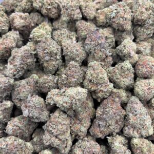 •$549/599 #CK203 - Grease Monkey