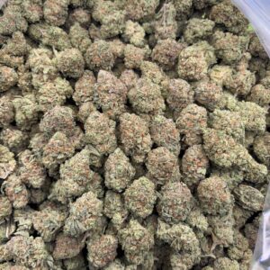 •$575/625 #CK207 - White Truffle