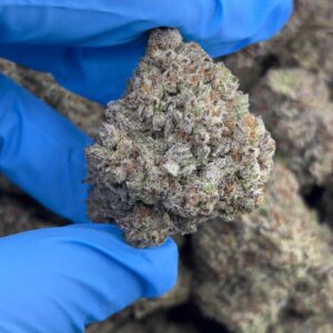 •$699/749 #CK233 - Super Boot