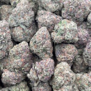 •$649/699 #CK281 - Gumbo