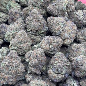 •$675–> $549/599 #CK256  - LA Confident (NO ADDITIONAL PROMO)