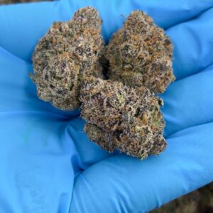 •$1299/1349 #CK286 - Candy Gas