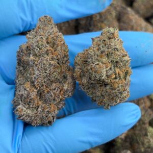 •$1299/1349 #CK288 - Cherry X Gelato 47