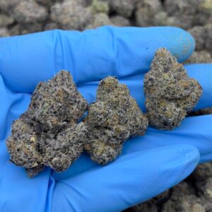 •$1499/1549 #CK999 - Coco Milk Candy