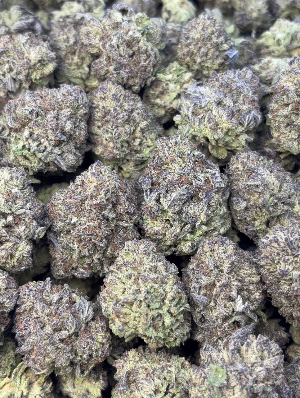 •$710/760 #CK325 - Black Icy