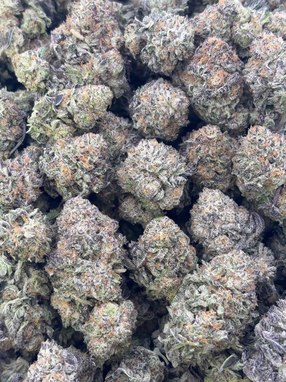 •$749/799 #CK363 - Creamy Crusher