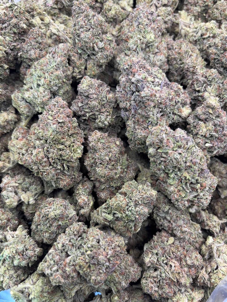 •$649/699 #CK383- Premium Runtz