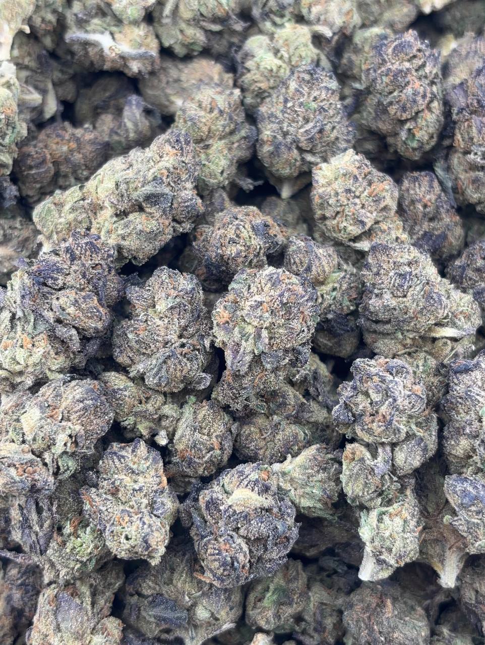 •$540/590 #CK393 - Pink Runtz “med”