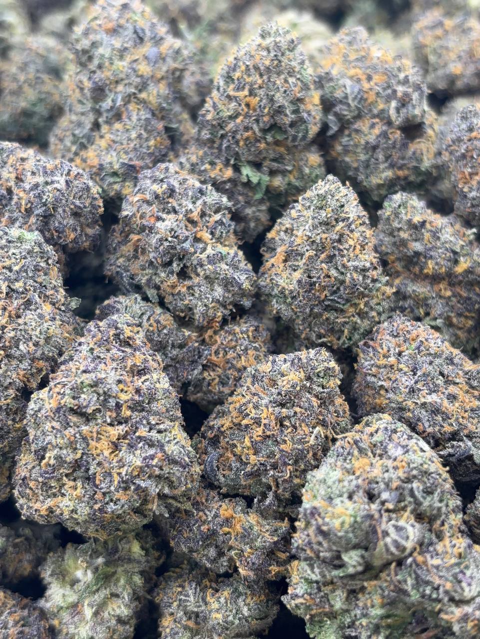 •$1125/1175 #CK318 - Jet Fuel ⛽️