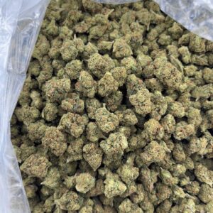 •$499/549 #CK342- Garlic Sauce