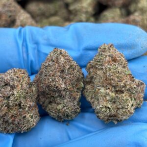 •$1199/1249 #CK346 - Blue Zushi