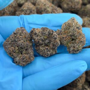 •$1275/1325 #CK348 - Blue Nerds