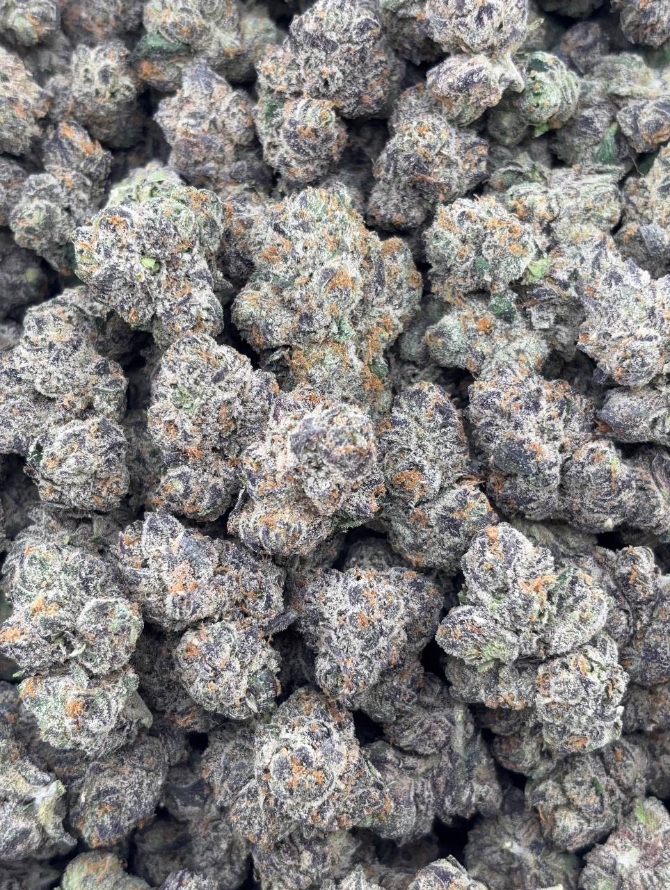 •$1325/1375 #CK354 - Grape Skittlez