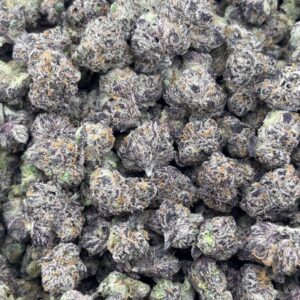 •$999/1049 #CK360 - Sugar Rush Zushi “Candy”