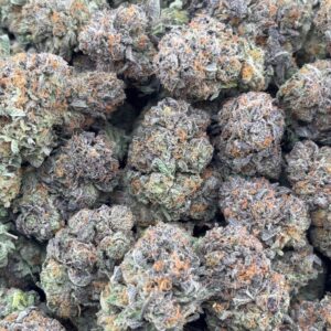 •$799/849 #CK366 - Indoor Bubba