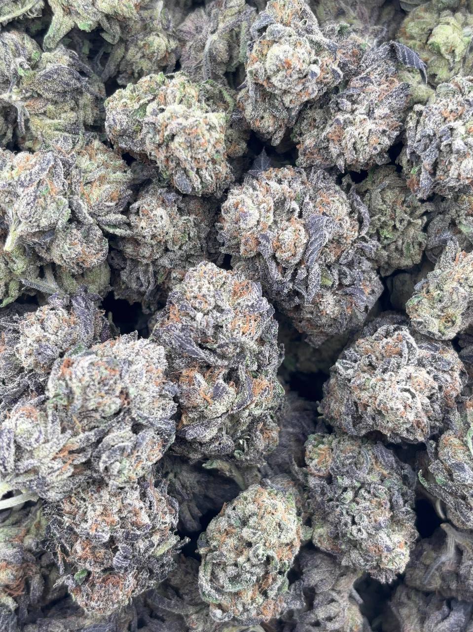 •$810/860 #CK380- CandyLand