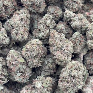 •$549/599 #CK390 - Space Burger