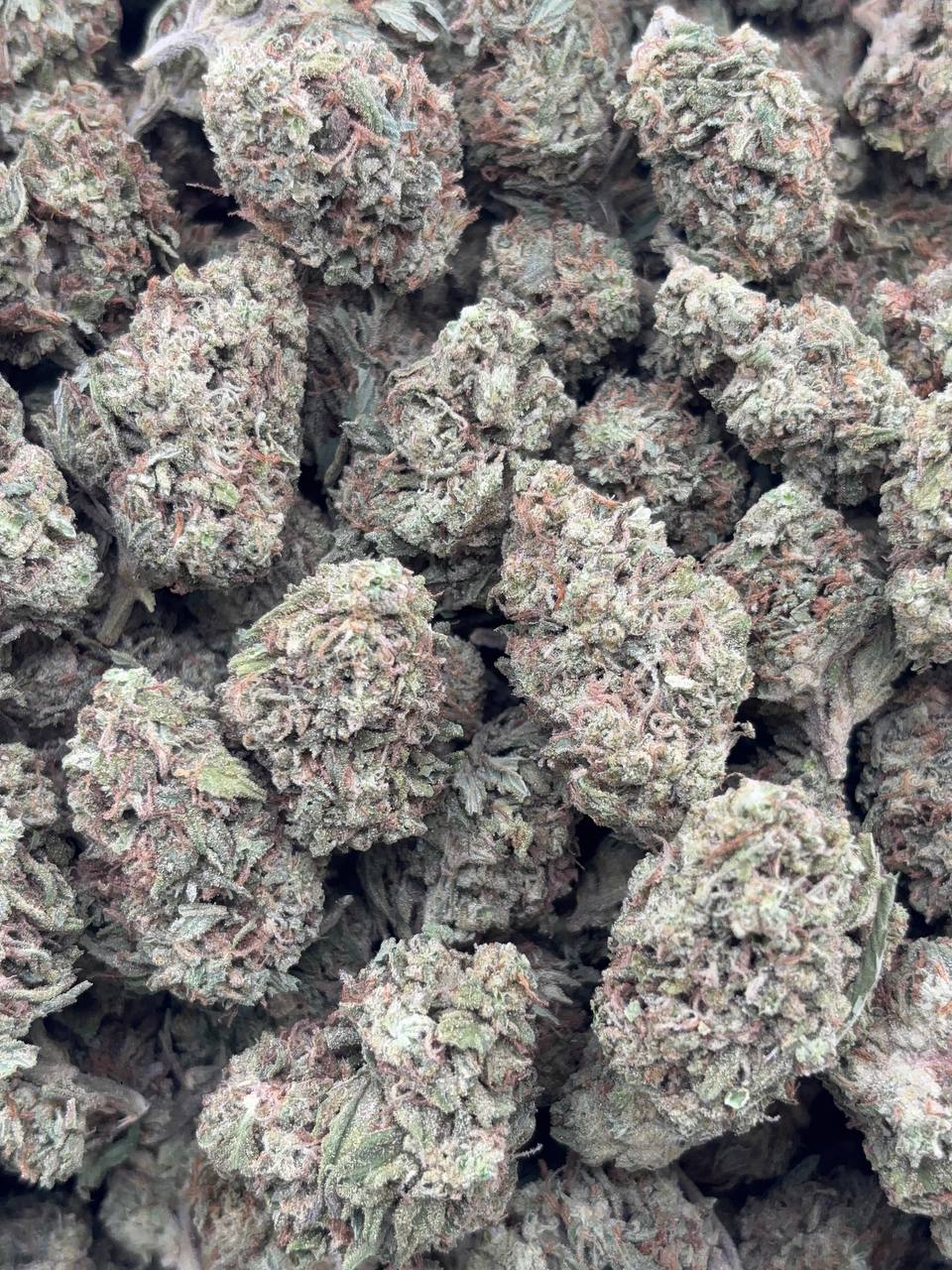 •$549/599 #CK390 - Space Burger