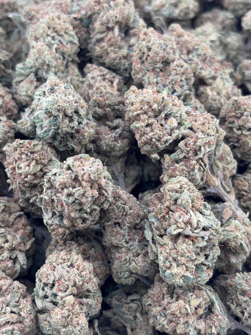 •$560/610 #CK394 - Do-Si Dos x STB