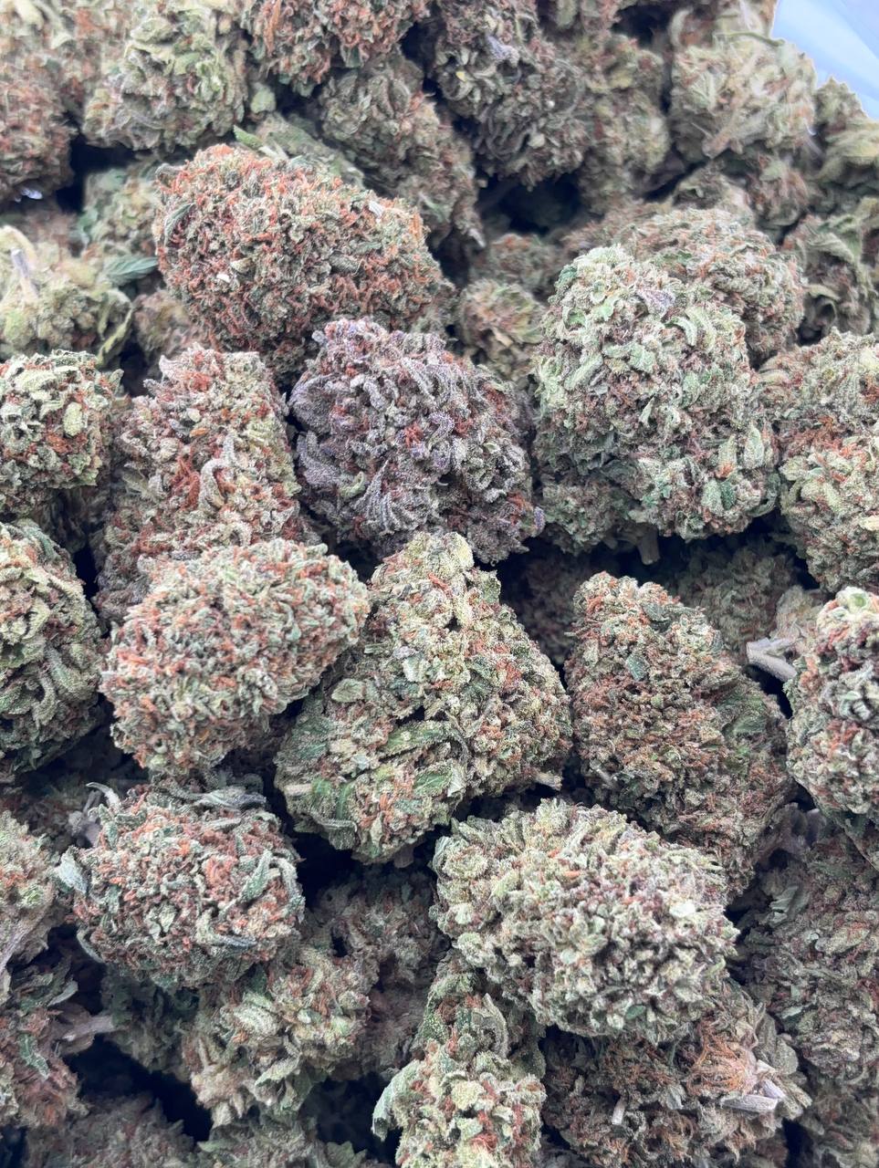 •$625/675 #CK304 - Sour Diesel x Jack herer