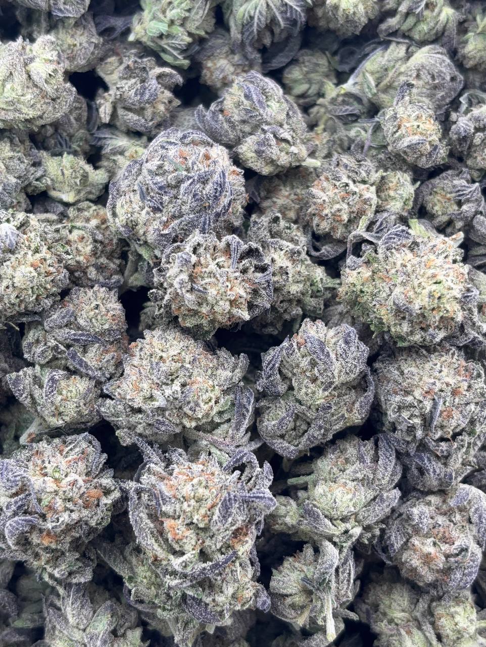 •$699/749 #CK306 - Super boot