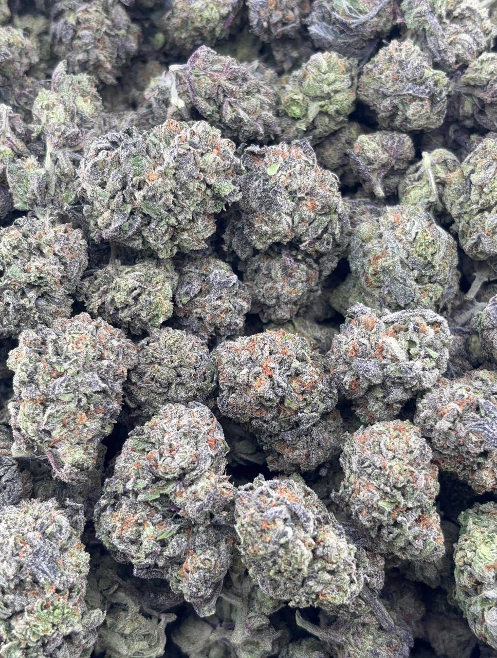 •$799/849 #CK308 - Jealousy