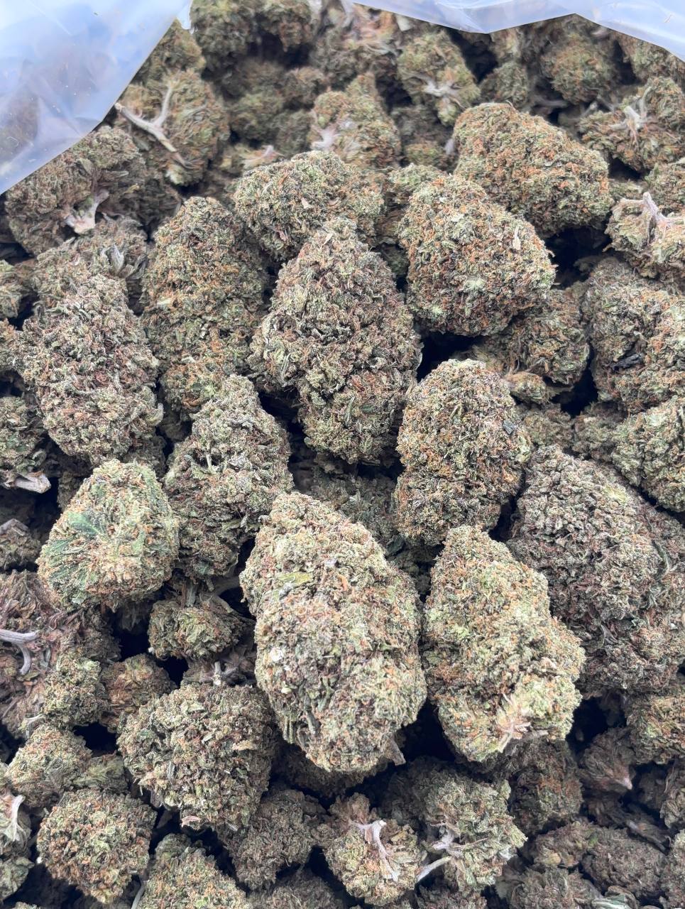 •$449/499 #G312 - Candy gas “low” (No additional promo)