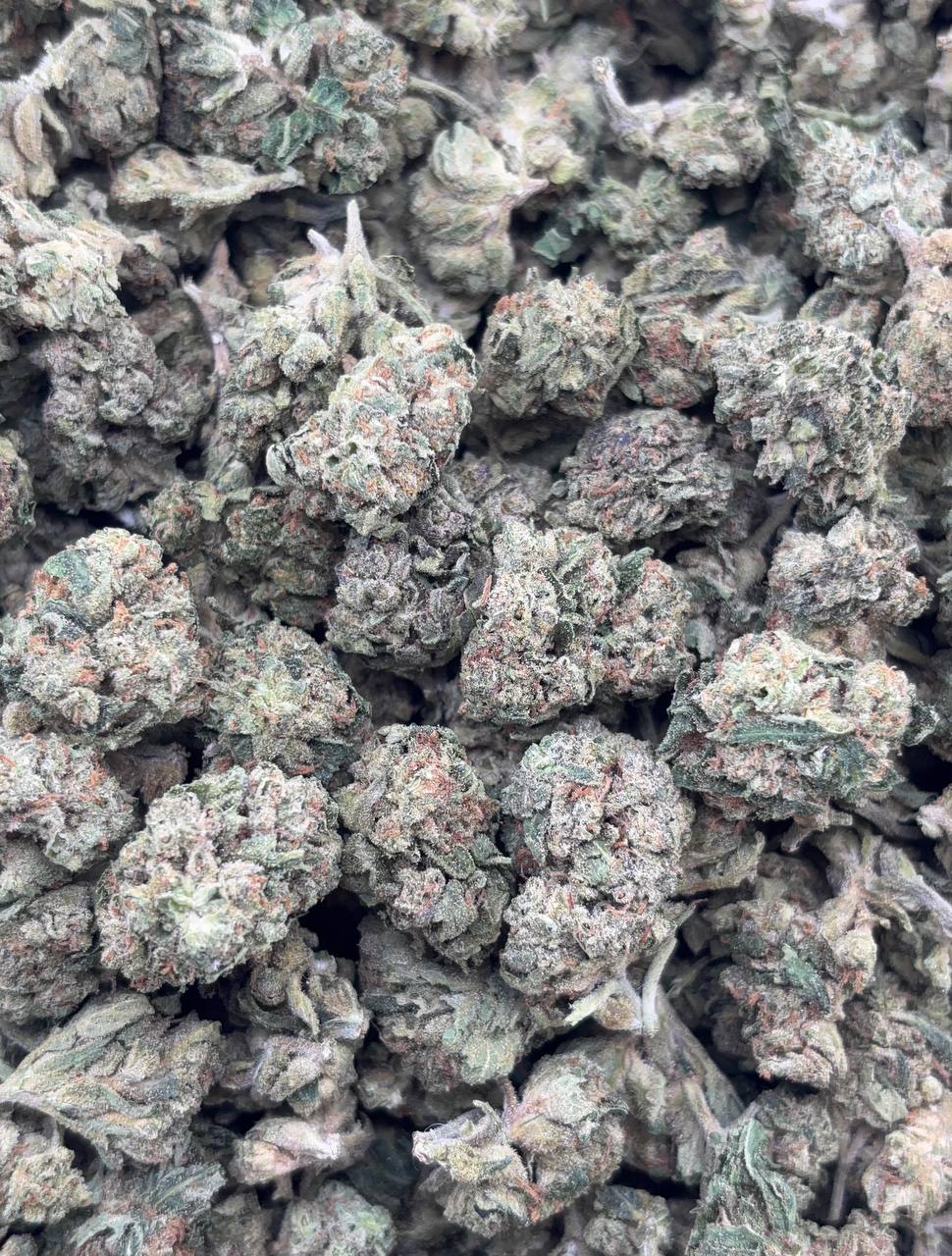 •$475/525 #GG132 - Garlic Sauce