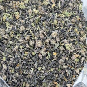 •$249/299 #GG01 - indoor shake (no additional promo)