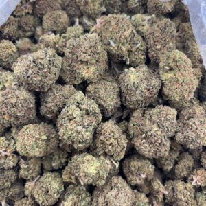 •$499/549 #GG120 - GG4